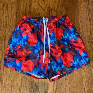 2xist Swim Trunk - Large EUC